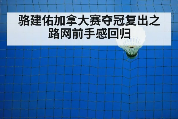 badminton net play